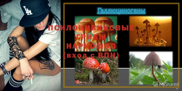 винт Ладушкин