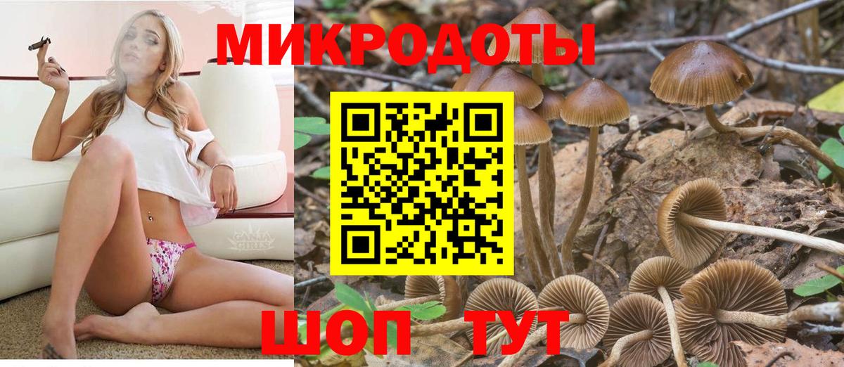 Галлюциногенные грибы Psilocybe Нижний Тагил